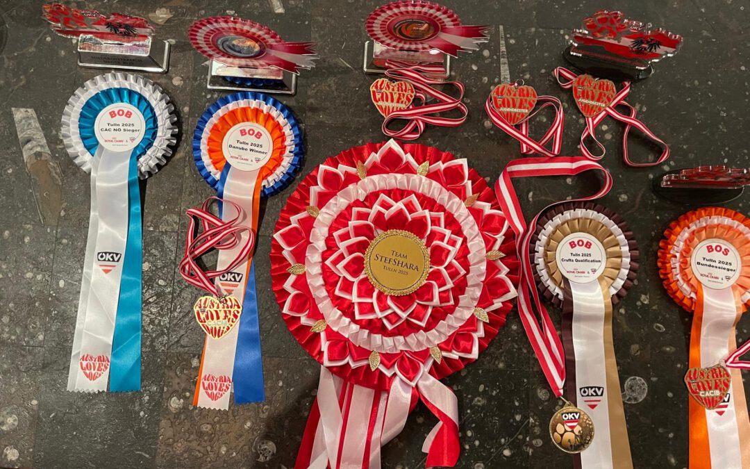 What else happened in 2025